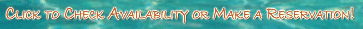 Click Here to Check Availability Online